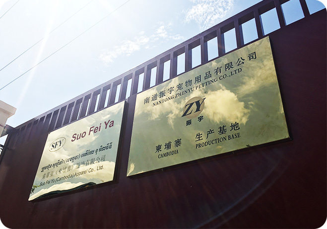 振宇